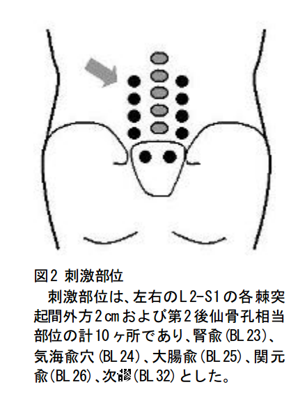 円皮鍼