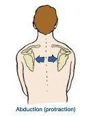 肩甲骨シェイプアップ1